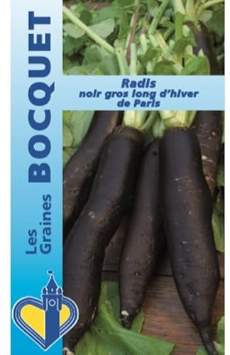 Sachet de graines de Radis noir d'hiver de Paris - 10 g - légume racine - LES GRAINES BOCQUET