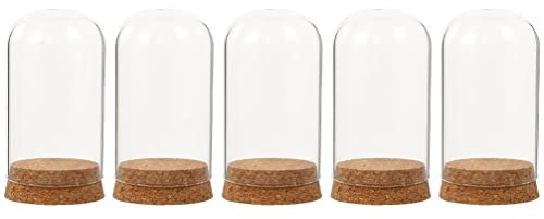 EXCEART Glas Kuppel Glocke Glaskuppel Deko Glashaube 5 Stücke Glasglocke mit Holzboden Holz Kuchenglocke Kuchenständer Käseglocke Lebensmittel Gastgeschenk für Hochzeit Weihnachten Dekoration