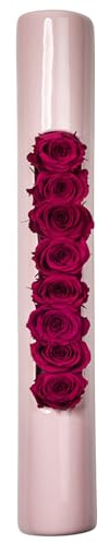 Infinity-Bloom Tube – rosa/bär – 40 x 6,5 cm