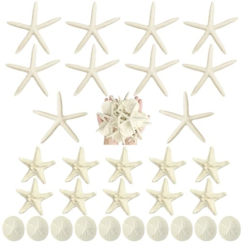 Queekay 15 Pieces Resin Starfish Sand Dollars 2.0 Inch 4.7 Inch Starfish 2.3 Inch Sand Dollars Crafts Ocean Themed Glittered Coastal Decorations for Summer Wedding Christmas Party Decor Supplies