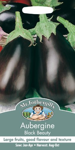 Mr Fothergill's Aubergine Black Beauty