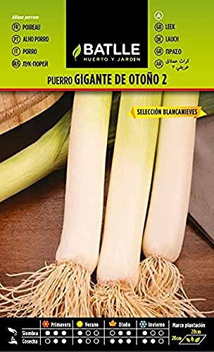 Semillas Batlle – puerros Géant d'automne 2 - Blanche-Neige