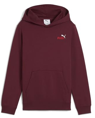 Ess 2 Color Small No. 1 Logo Hoodie FL B