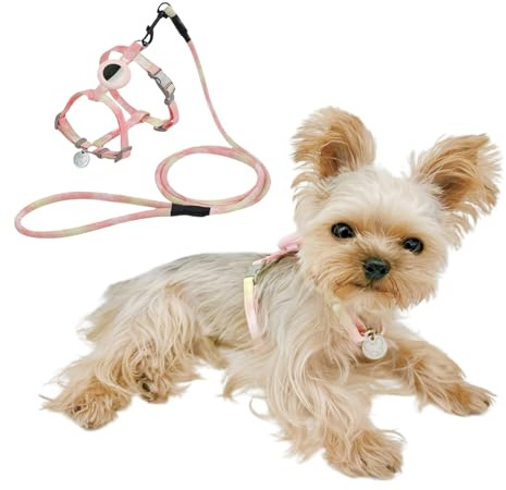 YorkieGogo Pettorina e guinzaglio anti-tiro con supporto AirTag per cani e gatti di taglia piccola/tazza da tè, gilet rinfrescante e leggero, perfetto per l'estate, taglia XXS (arancione, taglia M)