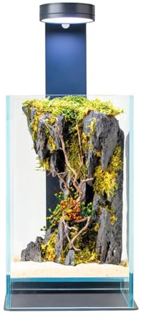 WabiFlur Terrario Stabilizzato Creus in Vetro Extrachiaro con luce led e supporto, completi di Fiori Stabilizzati Arredo Naturale Elegante Senza Manutenzione per Casa, Ufficio e Idee Regalo Green