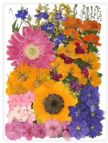 18 Types 75 Pcs Dried Pressed Leaves Flowers Real Natural Dried Plant for DIY Art Crafts, Candle Soap Making, Jewelry, Card Decorations, Phone Case