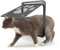 SCBOY Einfache Installation Katzenklappe(29 cm * 24 cm) Abschließbar Haustierklappe Fliegengitter mit Magnetverschluss für Kleine Hunde und Katze