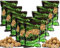 Angel-Berger Magic Baits Boilies 10 Kg Verschiedene Sorten (Magic Vanille)
