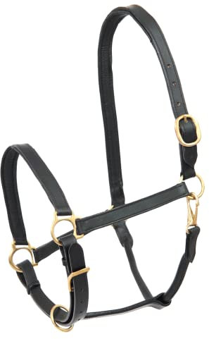 WALDHAUSEN Star Lederhalfter Robust, Warmblut, schwarz