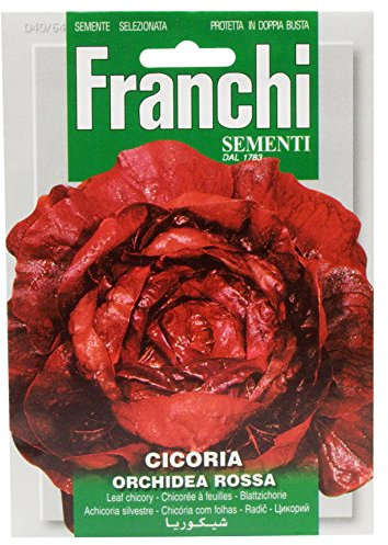 Franchi Radicchio Orchidea Rossa