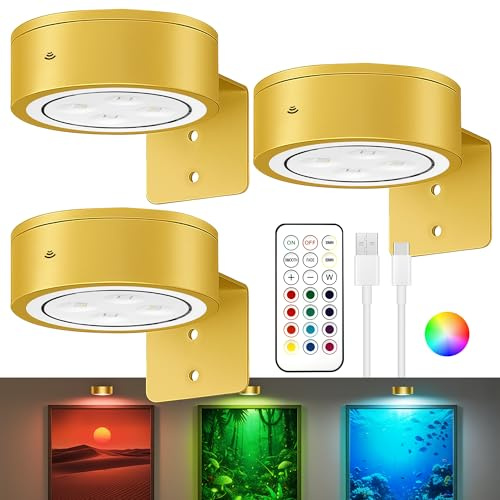 3-Pack Picture Lights for Wall, 13 RGB Color Changing Led Art Display Light with Rechargeable Battery Operated, Magnetic Painting Light with Remote Control, Wireless Home Wall Decorative Lighting