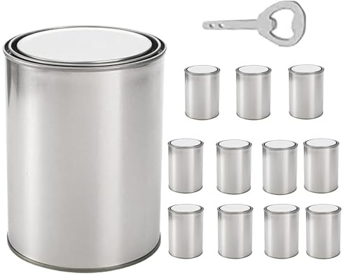 Barattolo di vernice vuoto, contenitori vuoti da 0,5 l, contenitori multiuso con coperchio, 12 barattoli per la conservazione della vernice e molto altro ancora