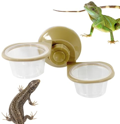 Alimentatore per rettili a, per cibo a per rettili,per acqua a doppia | per cibo per camaleonti, per e acqua per, per gechi crestati, lucertole, animali domestici