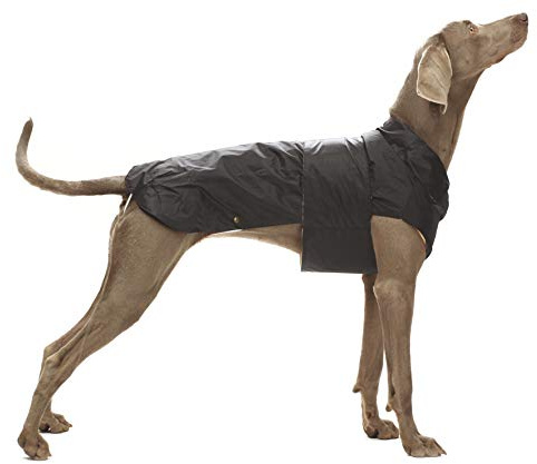 CROCI, MONTREAL, Cappotto per cani, Mantello invernale, Giacca impermeabile, Taglia 25 cm, Nero