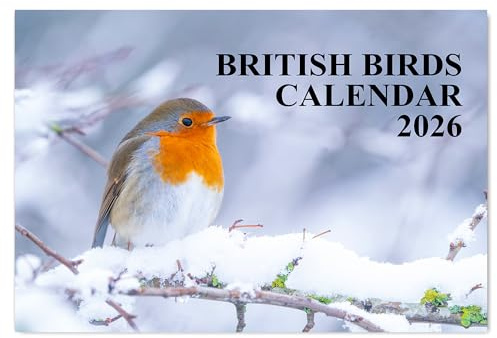 British Birds Calendar 2026 A4 12 Month to View Wall Calendar 2026 Perfect for Schools, Offices, and Homes Papa Prints