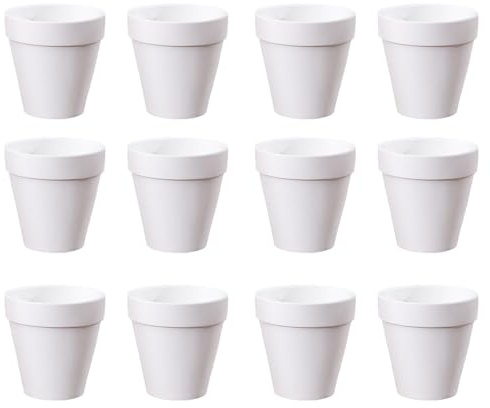 Molyorch 12 pièces Pot Terre Cuite, pour Cactus, Fleurs, Plantes Grasses, Parfaits pour LeJardinage, Le Bricolage ou des Cadeaux de Mariage (5.5 * 5cm-Blanc)