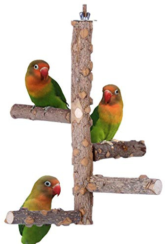Bird Perch Nature Wood Stand for 3-4pcs Small Medium Parrots (S)