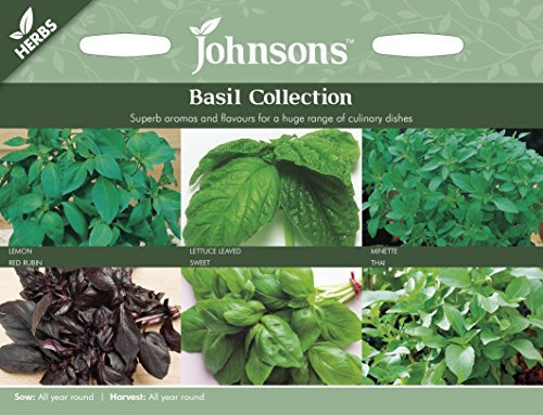 Johnsons Seeds - Pictorial Pack - Vegetable - Basil Collection