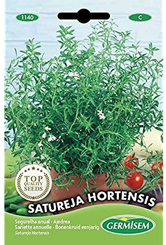 Germisem Bohnenkraut EC1140 mehrfarbig