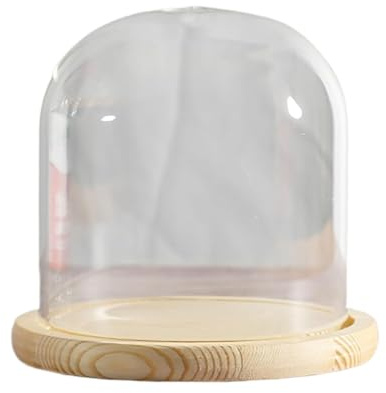Klar glasklocka, Glaskloche med kupolformad bas i massivt trä, 20 cm diameter, 20–30 hög(Dia20*H20cm)