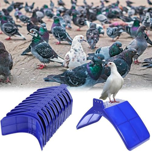 20-Pack Pigeon Perches Stand, Easy to Install Safe Comfortable Plastic Dove Birds Rest Stand,Lightweight Pigeon Perches Plastic Roost Holder for Parrots and Other Bird (Bule)