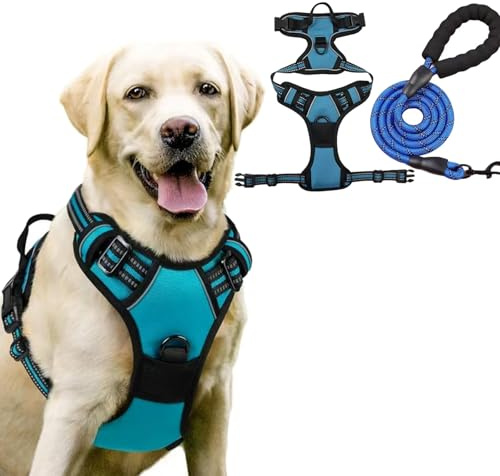 Imbracatura anti-tiraggio, regolabile per cani con design step-in, morbida pettorina imbottita per cani con anello anteriore e posteriore (blu, M)