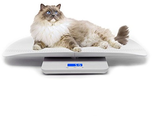 Balance numérique pour animaux de compagnie, avec 3 modes de pesée (kg/oz/lb), max 220 lb, capacité avec précision jusqu'à ± 0,02 lb, blanc