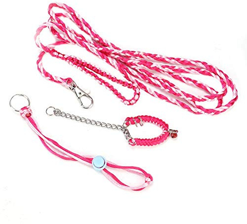 Hamster Harness, Adjustable Squirrel Harness Leash Small Animal Outdoor Walking Training Lead Rope for Pet Dwarf Hamster Gerbil Rat Mouse(Powder + rose red)