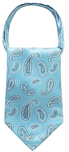 WANYING mäns slipsscarf ascotslips halsduk Cravat Ties halsduk klassisk retro chic för gentleman – paisley-mönster ljusblå, B17 Paisley-mönster ljusblå, 15 × 114 cm
