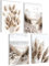 mojoliving Deko Maritim Bilder Set Poster Natur Strand Muschel Ostsee Deko Nordsee Meer Dune Poster beige Meer Maritime Landschaft