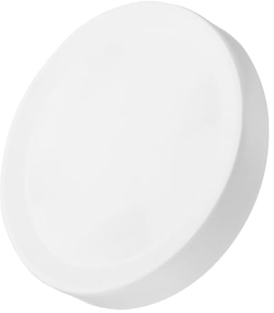 BESPORTBLE Bac à Plantes avec roulettes Support De Pot De Fleurs Bac pour Plantes Intérieures Et Extérieures