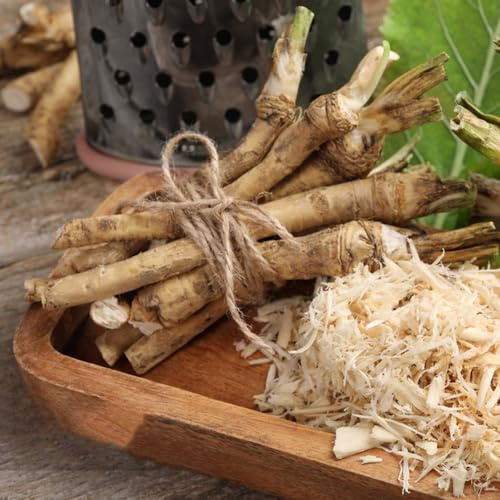 semi di rafano, giardino verdi esotiche per aiuole rialzate e balconi balcone tappezzante per giardino aromatico 40semi