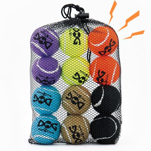 INSUM Small Tennis Balls for Dogs - 12 Pack 2.0 Squeaky Dog Balls for Small Breed, SGS Certified Non-Toxic, Interactive Fetch Toys, Perfect for Outdoor & Indoor Play