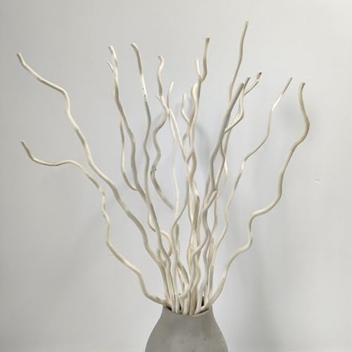 Branches de Saule Tortueux Branches de Saule Séché Remplisseur de Vase de Saule Séché Branches de Saule Bouclés 57cm Branches de Saule Bouclés pour décoration d'intérieur (Blanc)
