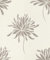 Rasch Tapeten Vliestapete (Floral) Weiß goldene 10,05 m x 0,53 m Andy Wand 649017