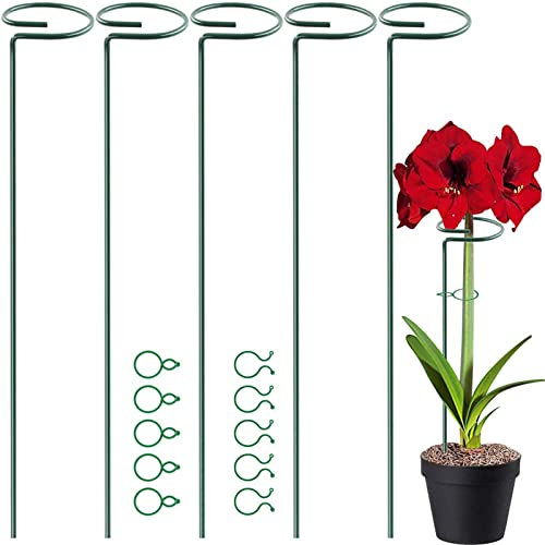 5 Pcs Plants Supports Stake Flower Tall Climbing Cages Stakes Metal Stakes 40 cm with 10 Pcs Plant Stem Clips for Outdoor Indoor Tomato Rose Peonies Trellis Spiral Rings Frame