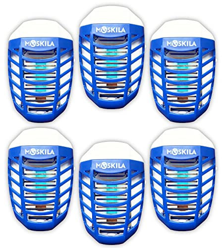 Lot de 6 piège à Mouches à Fruits d'intérieur - Piège à Mouches d'intérieur Plus sûr pour la Maison - Piège à Mouches d'intérieur - Piège à Insectes d'intérieur - Piège à Mouches