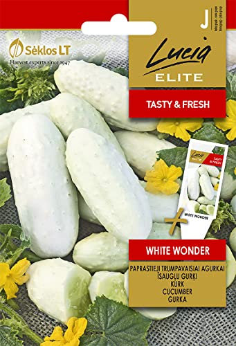 Lucia Elite | GURKE WHITE WONDER samen| Gemüsesamen | Gurkensamen | Pflanze samen | Gardensamen | 1 Pack