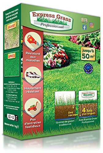 Gazon Express Professionnel - Fiable, résistant froid et chaleur - Germination ultra rapide et dense (10 jours) - Tout type de climat (1 boîte 50M²)