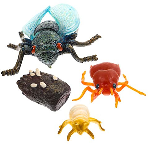 Alipis 1 Satz Modell des Wachstumszyklus Speichern Mini Plus Markierungen Kleinkinder Unter Innen Obst Vorgeben Simulationsfahrzeug Zikade Modell Dekoration PVC