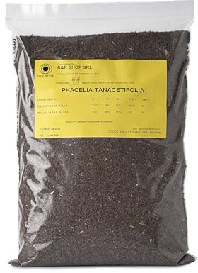R&R SHOP - Semi di Facelia, Phacelia Tanacetifolia, Fioritura Rapida, Ricca di Nettare per Api e Farfalle, Ideale per Prati e Giardini (500 g – 300 m²)