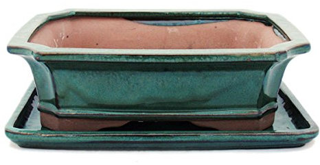 Bonsaï Bol avec sous assiette Taille 5 – Vert – Rectangulaire – Modèle G4 – L 31 cm – B 23 cm – H 9,5 cm