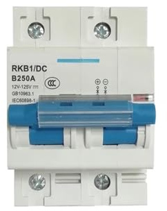 2P effektbrytare 12 V 24 V 36 V 48 V 60 V 72 V 96 V 120 V solbatteri brytare RV 80 A 100 A 125 A 150 A 200 A 250 A (200A)