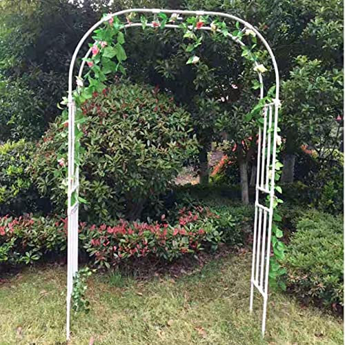 Arco de jardín de metal blanco para plantas trepadoras y rosas, decoración de interiores y exteriores, para patio trasero, césped y bodas, 220 x 40 x 240 cm