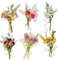 TPZORJX 6pcs Ramos De Flores Secas PequeñO - Flores Secas para La ArtesaníA, Adecuado para El Marco De Fotos DIY Fiesta En Casa Y Decoraciones De La Boda