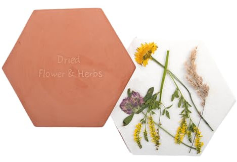 AC-Déco Presse à Fleurs Et Herbes en Terre-Cuite pour Le Micro-Ondes - Terracotta - L 19,4 X P 17,1 X H 3,3 Cm