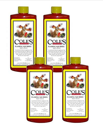 Cole's Flaming Squirrel Seed Sauce, Super Hot and Spicy Nutritional Birdseed Supplement Contains All-Natural 100% Food Grade Liquid Chili Pepper Soybean Oil Ingredients, 16 oz (Pack of 4)