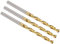 PATIKIL 3.2mm Drill Bit, M42 8% Cobalt High-Speed Steel Jobber Straight Shank 135° Titanium Nitride (TiN) Coated for Hard Metal Stainless Steel - 3 Pack