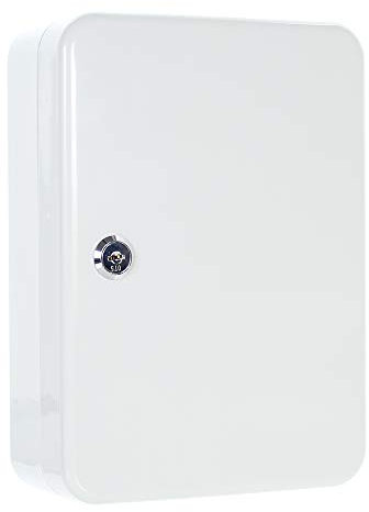 Rottner Cassette à clés TS 48 avec Serrure à Cylindre, Gris Clair