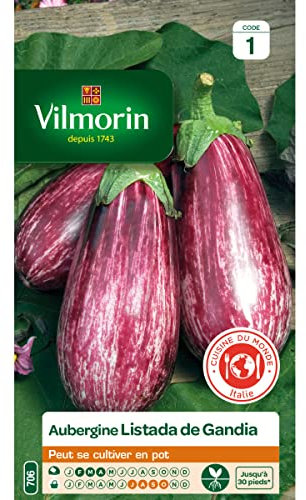 Vilmorin - Aubergine Listada Gandia